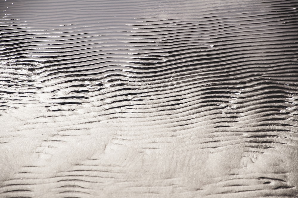 body of water during daytime