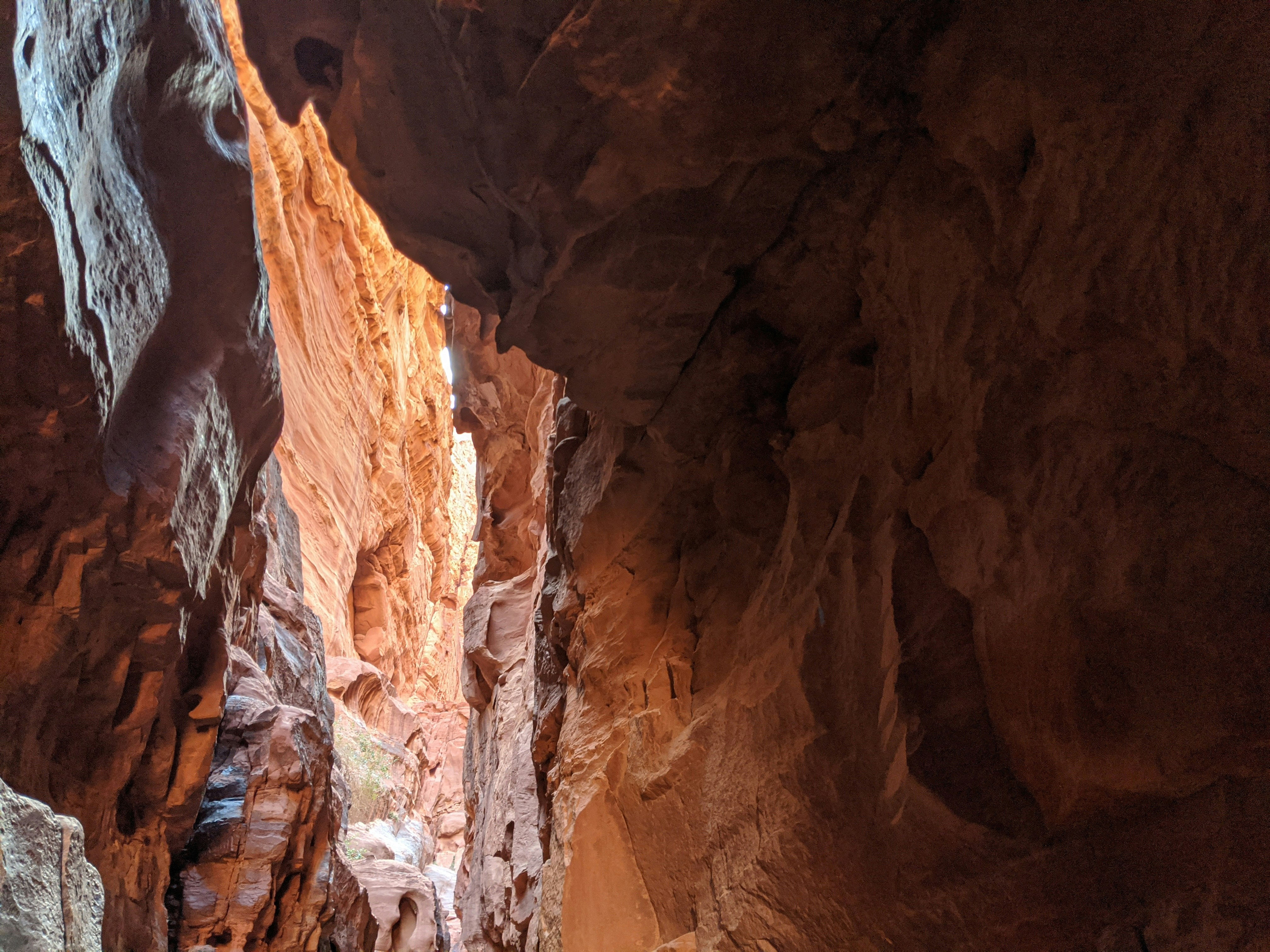 Photo by katieking94