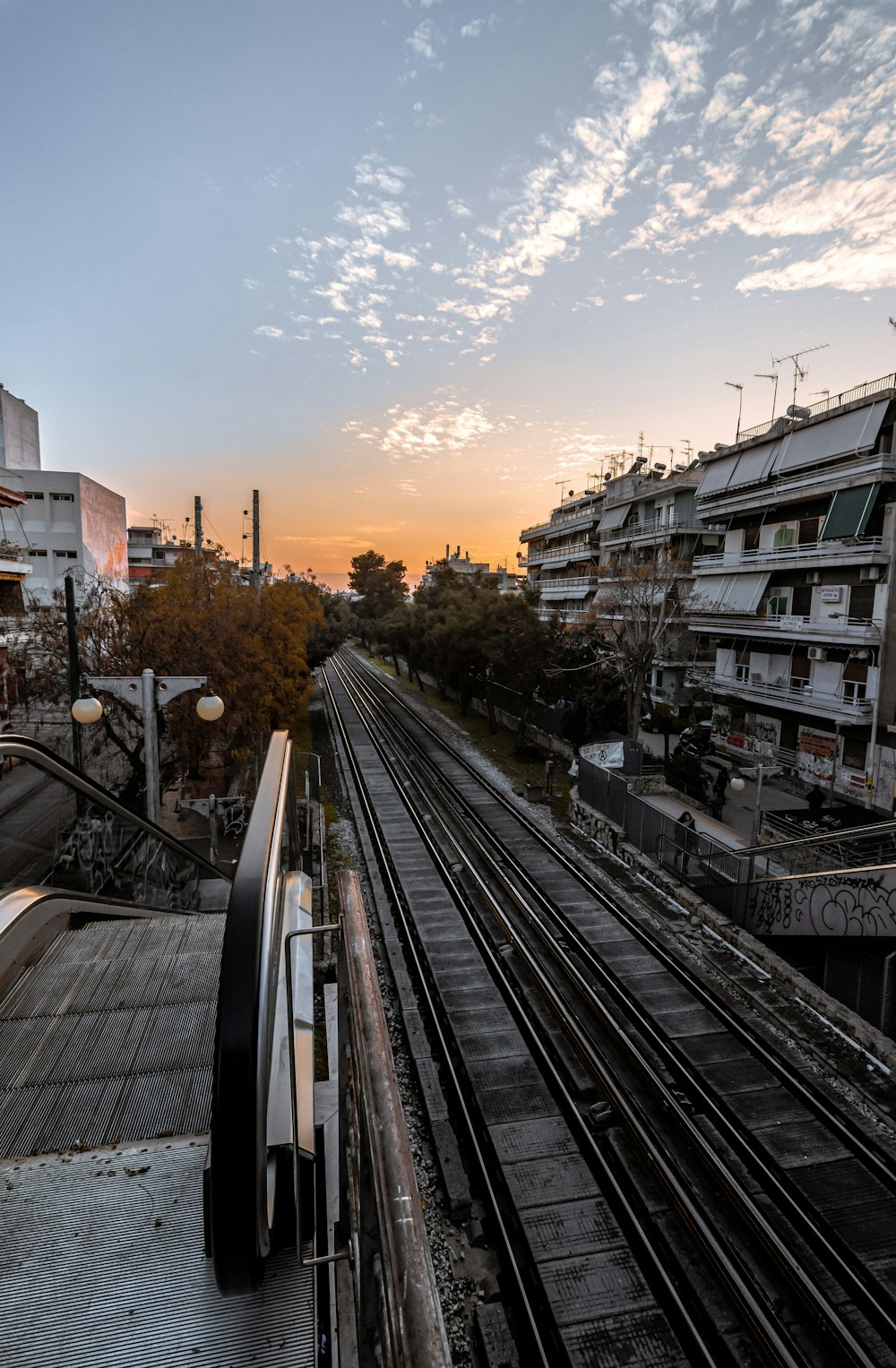 cars on road between buildings during sunset