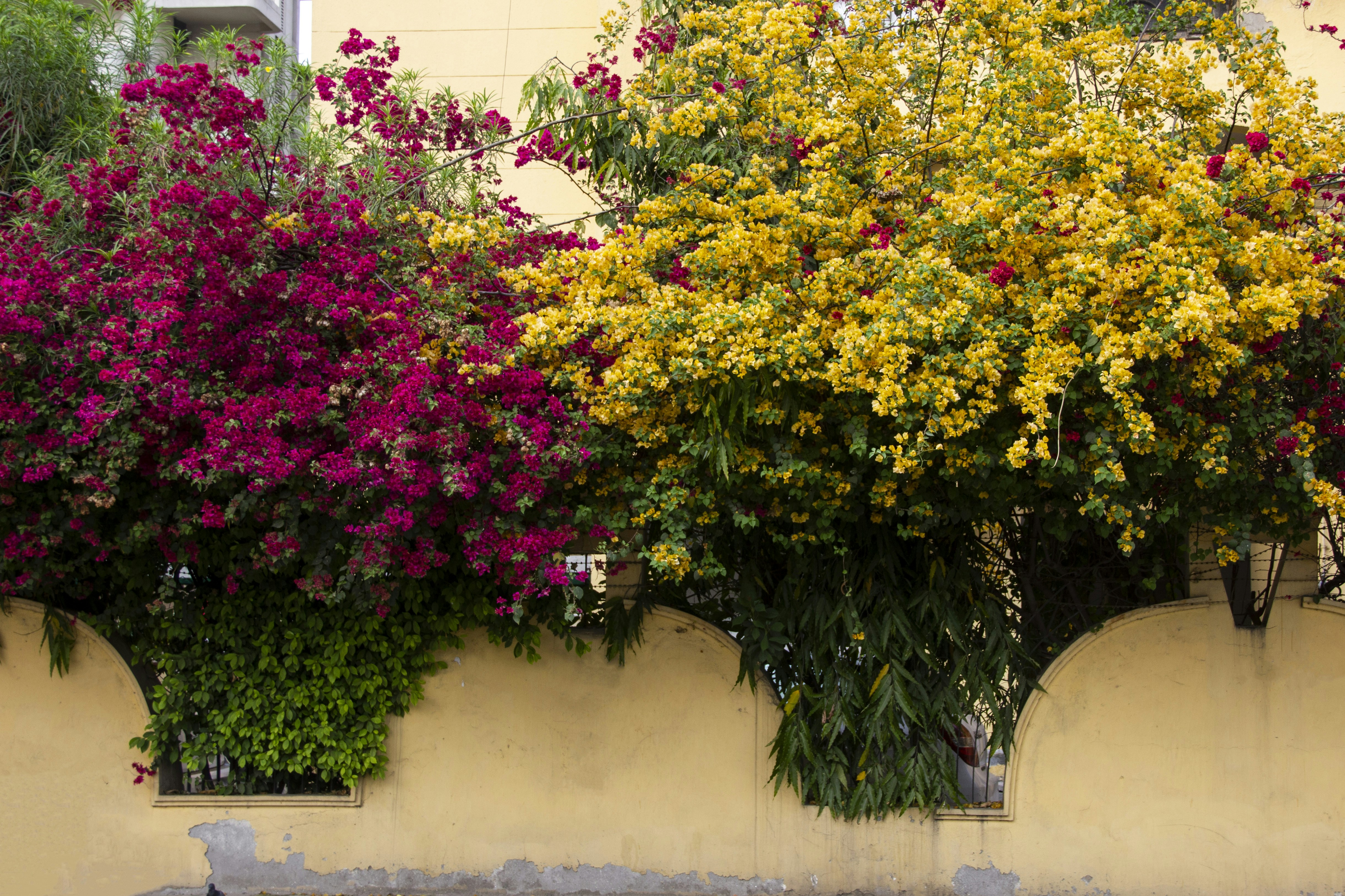 Photo by monicasinghdahiya