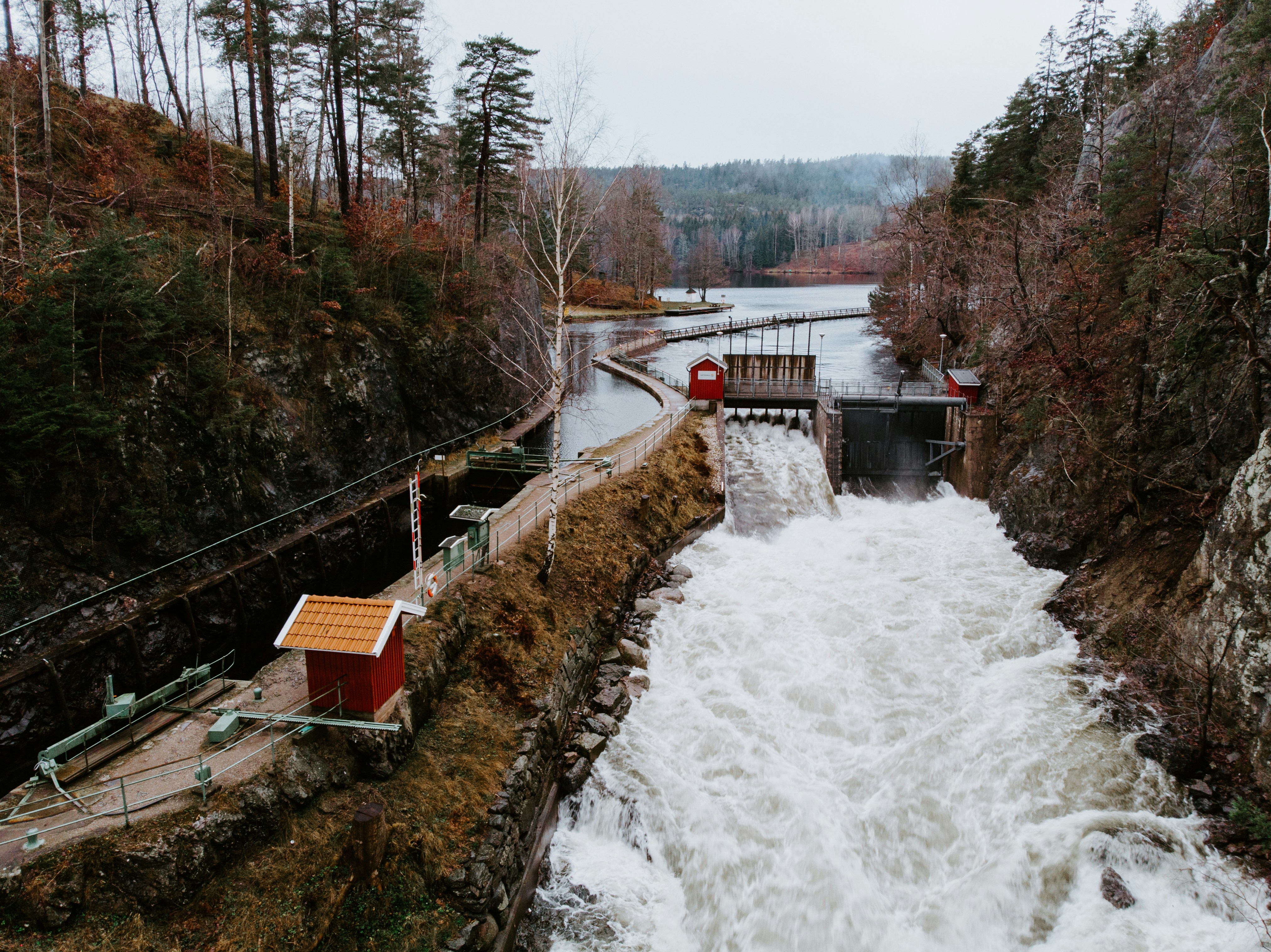 Photo by Edvin Johansson