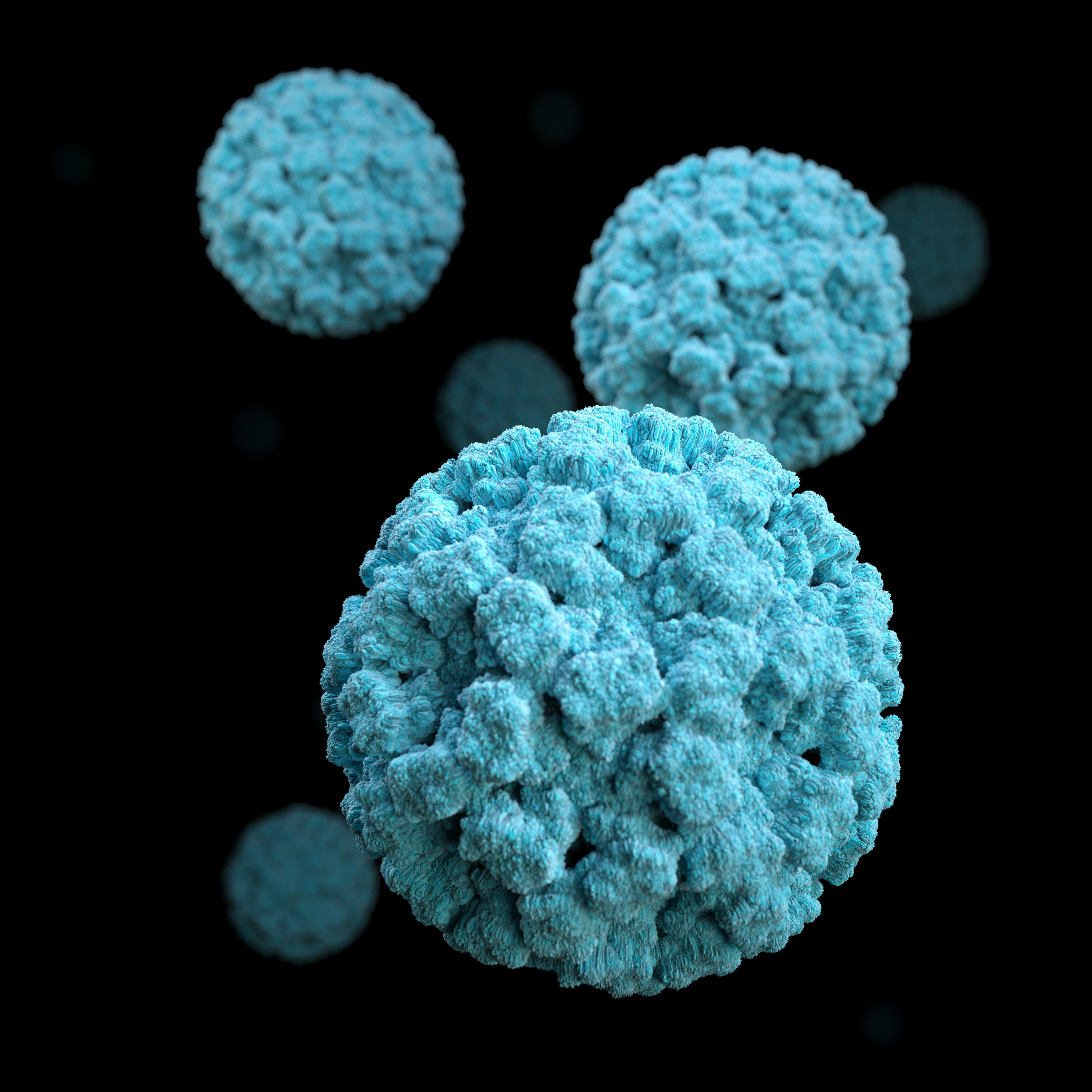 Based on electron microscopic (EM) imagery, this illustration provides a three-dimensional (3D), graphical representation of a number of norovirus virions, set against a black background. Illustrator: Alissa Eckert, MS