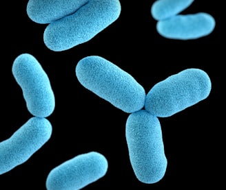 List of commercial bacteria