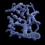 A cluster of spherical, textured objects that appear to be magnified cells or bacteria, connected in a chain formation. The objects are a deep blue color, set against a stark black background.