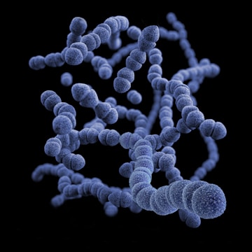 A cluster of spherical, textured objects that appear to be magnified cells or bacteria, connected in a chain formation. The objects are a deep blue color, set against a stark black background.