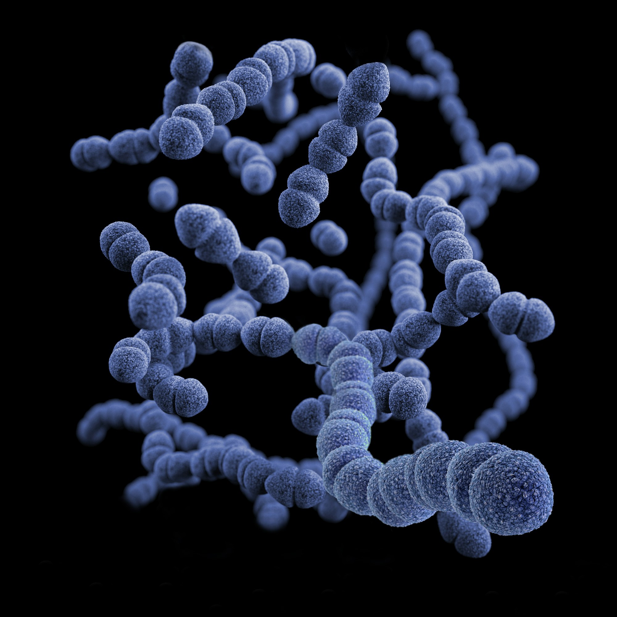 This illustration depicted a three-dimensional (3D), computer-generated image, of a group of Gram-positive, Streptococcus pneumoniae bacteria. The artistic recreation was based upon scanning electron microscopic (SEM) imagery.