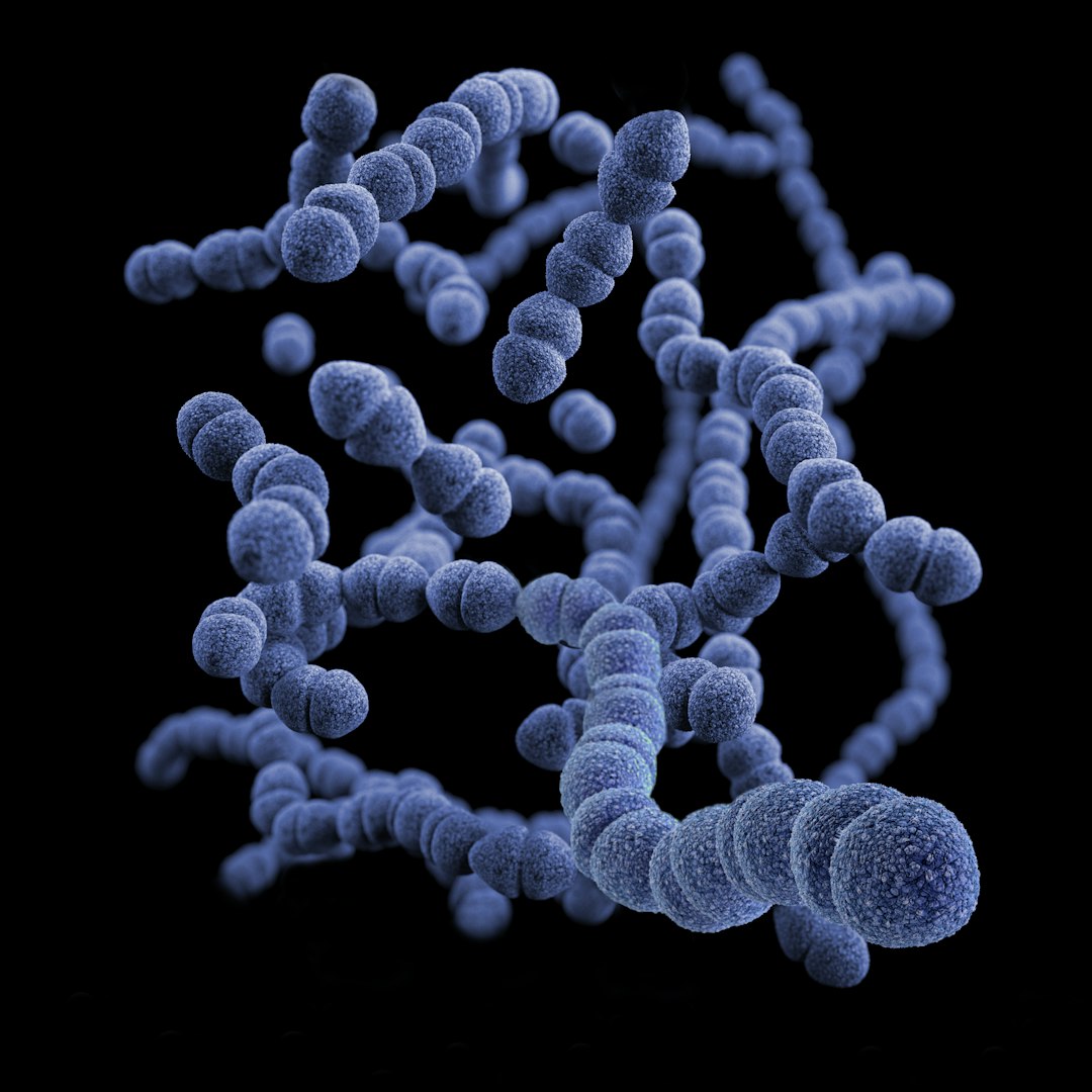 This illustration depicted a three-dimensional (3D), computer-generated image, of a group of Gram-positive, Streptococcus pneumoniae bacteria. The artistic recreation was based upon scanning electron microscopic (SEM) imagery.