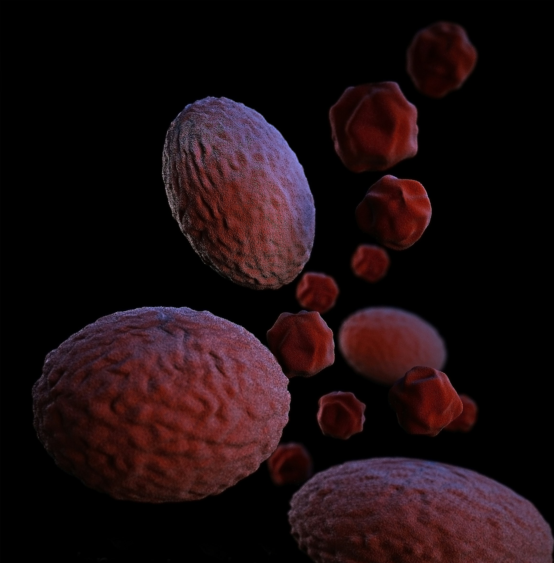 This illustration depicted a three-dimensional (3D), computer-generated image, of a group of Gram-negative, Chlamydia psittaci bacteria. The artistic recreation was based upon scanning electron microscopic (SEM) imagery.