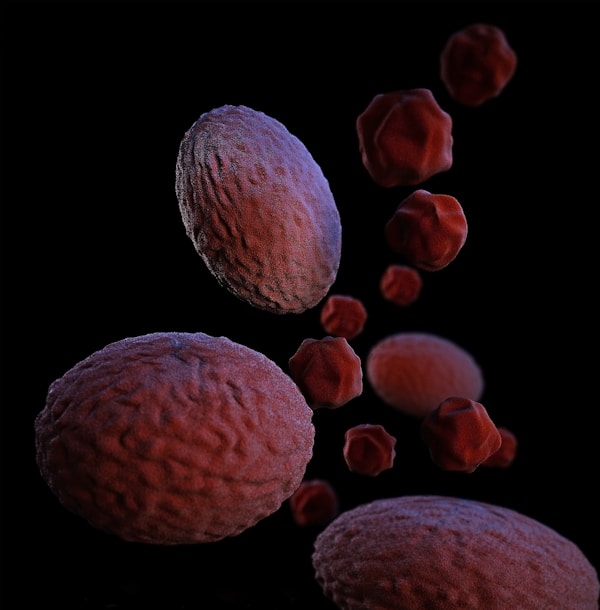 This illustration depicted a three-dimensional (3D), computer-generated image, of a group of Gram-negative, Chlamydia psittaci bacteria. The artistic recreation was based upon scanning electron microscopic (SEM) imagery.by CDC
