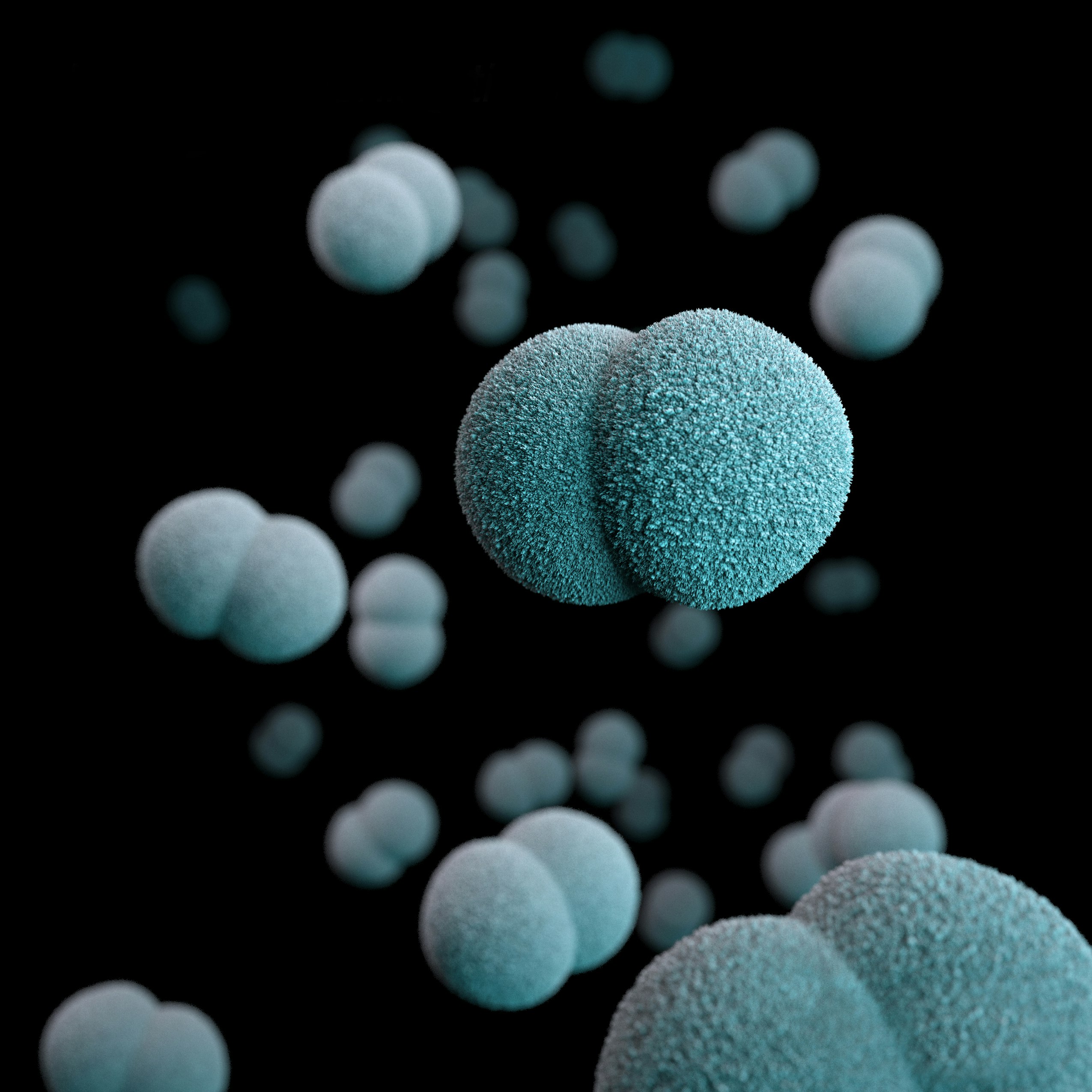 This illustration depicted a three-dimensional (3D), computer-generated image, of a number of diplococcal, Gram-negative, Neisseria meningitidis, bacteria. The artistic recreation was based upon scanning electron microscopic (SEM) imagery.