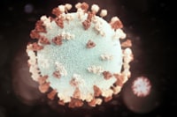 &quot;This illustration provided a 3D graphic representation of a spherical-shaped mumps virus particle, that was studded with glycoprotein tubercles. The studs, colorized reddish-brown, are known as F-proteins (fusion), and those colorized beige, are referred to as HN-proteins (hemagglutinin-neuraminidase).&quot;