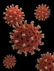 virus portatil sevilla