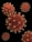 Close-up rendering of several virus particles with a red, textured surface and numerous small, white protrusions set against a black background.