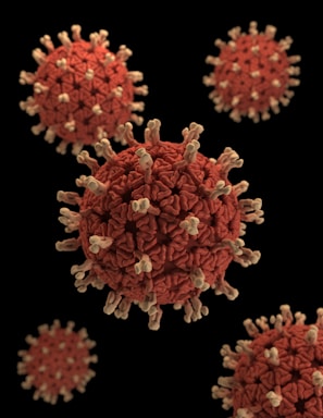 Close-up rendering of several virus particles with a red, textured surface and numerous small, white protrusions set against a black background.