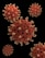 Close-up rendering of several virus particles with a red, textured surface and numerous small, white protrusions set against a black background.