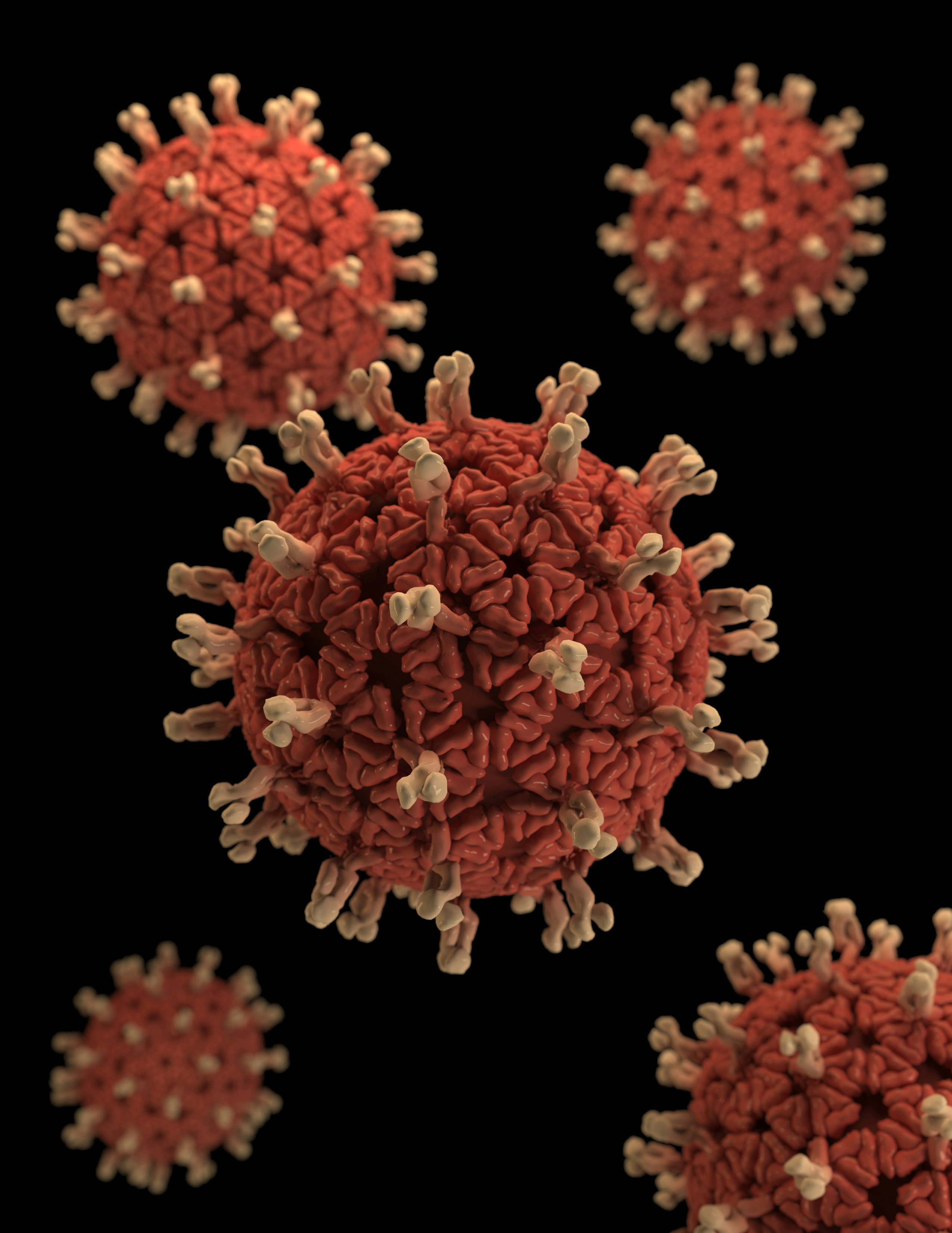 "This illustration provided a 3D graphical representation of a number of Rotavirus virions, set against a black background. Note the organism\u2019s characteristic, wheel-like appearance, which was made visible when viewed under the electron microscope. It\u2019s this morphology that gives the Rotavirus its name, which is derived from the Latin rota, meaning \"wheel\". Rotaviruses are nonenveloped, double-shelled viruses, making them quite stable in the environment."