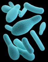 A digital collection of microorganisms in a virtual museum.