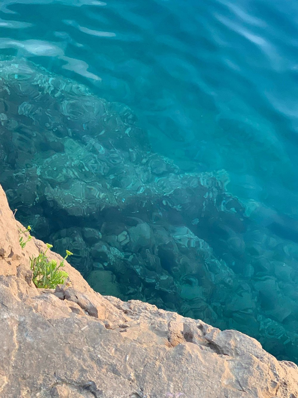 Formación rocosa marrón junto a un cuerpo de agua azul durante el día