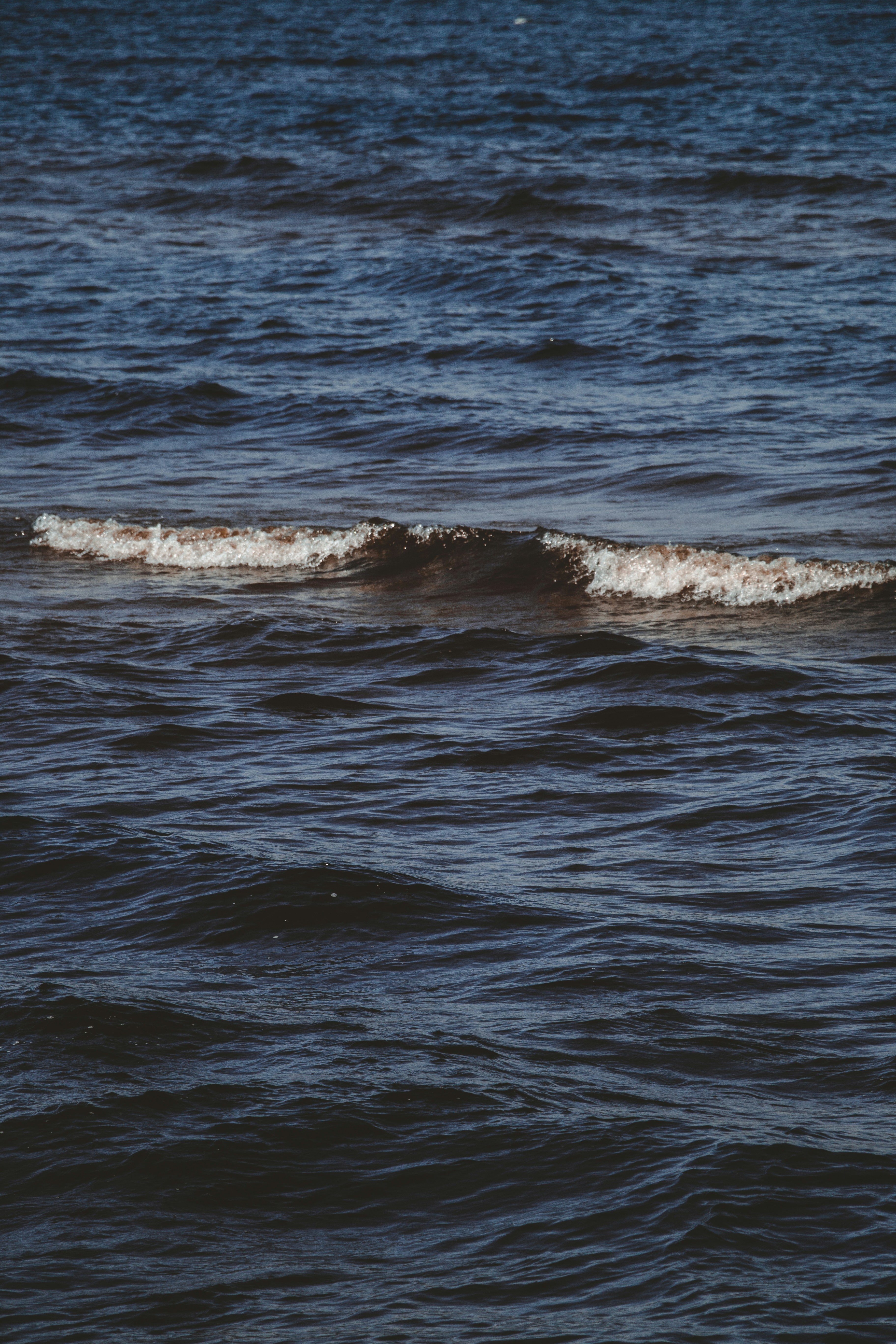 Photo by thatgirlalina