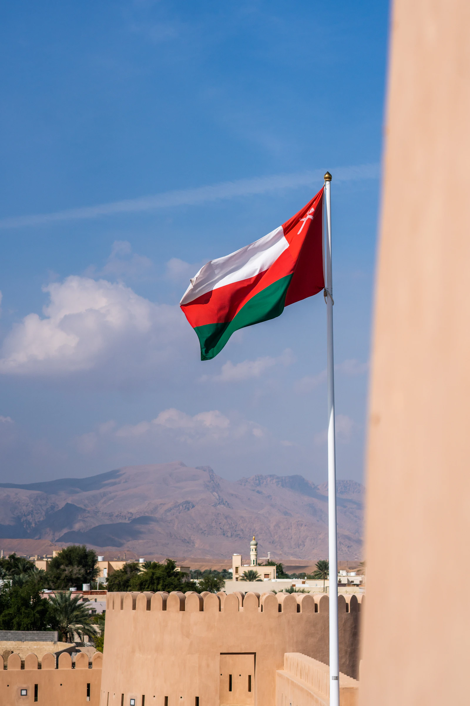 Moderne wijk in Muscat met palmbomen