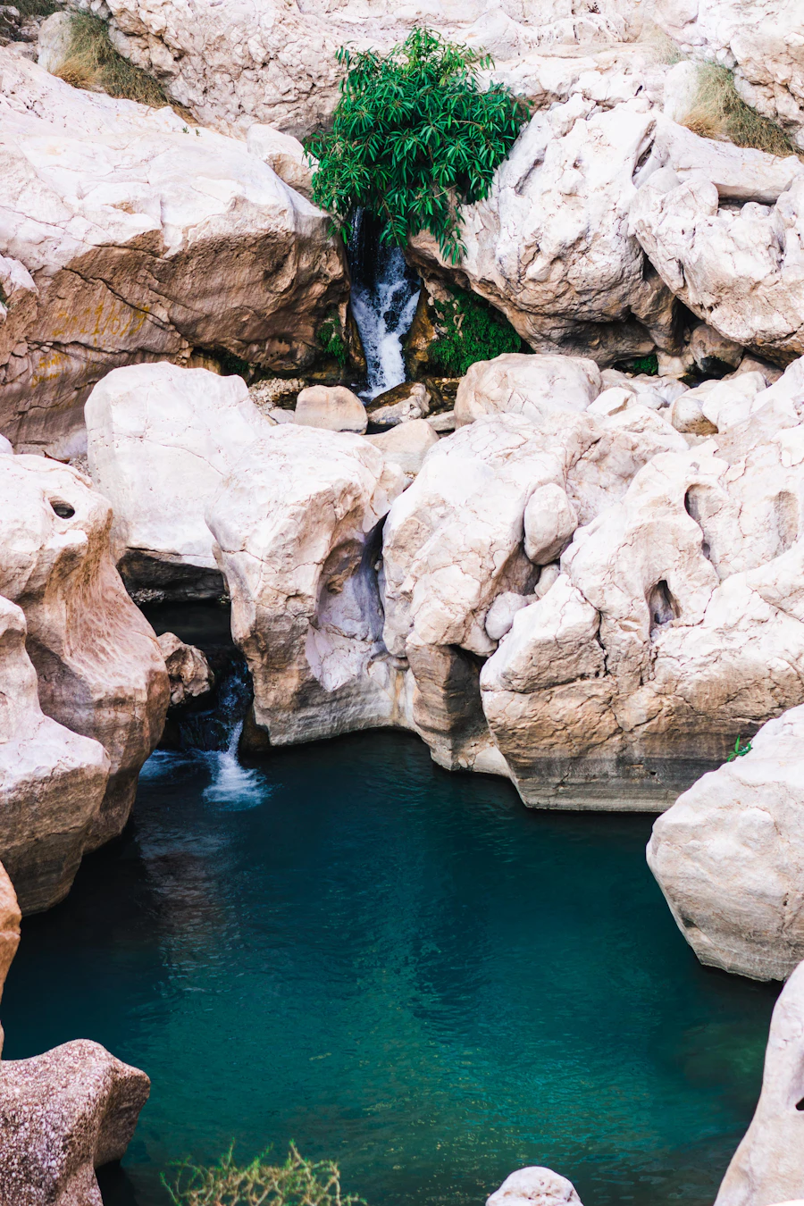 رحلة الجبل الأخضر