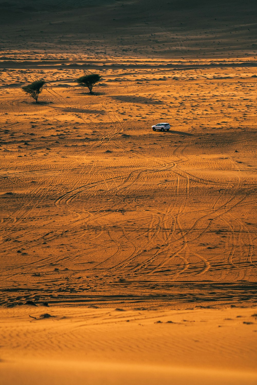 white car on brown sand