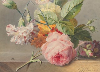 white and pink flower painting