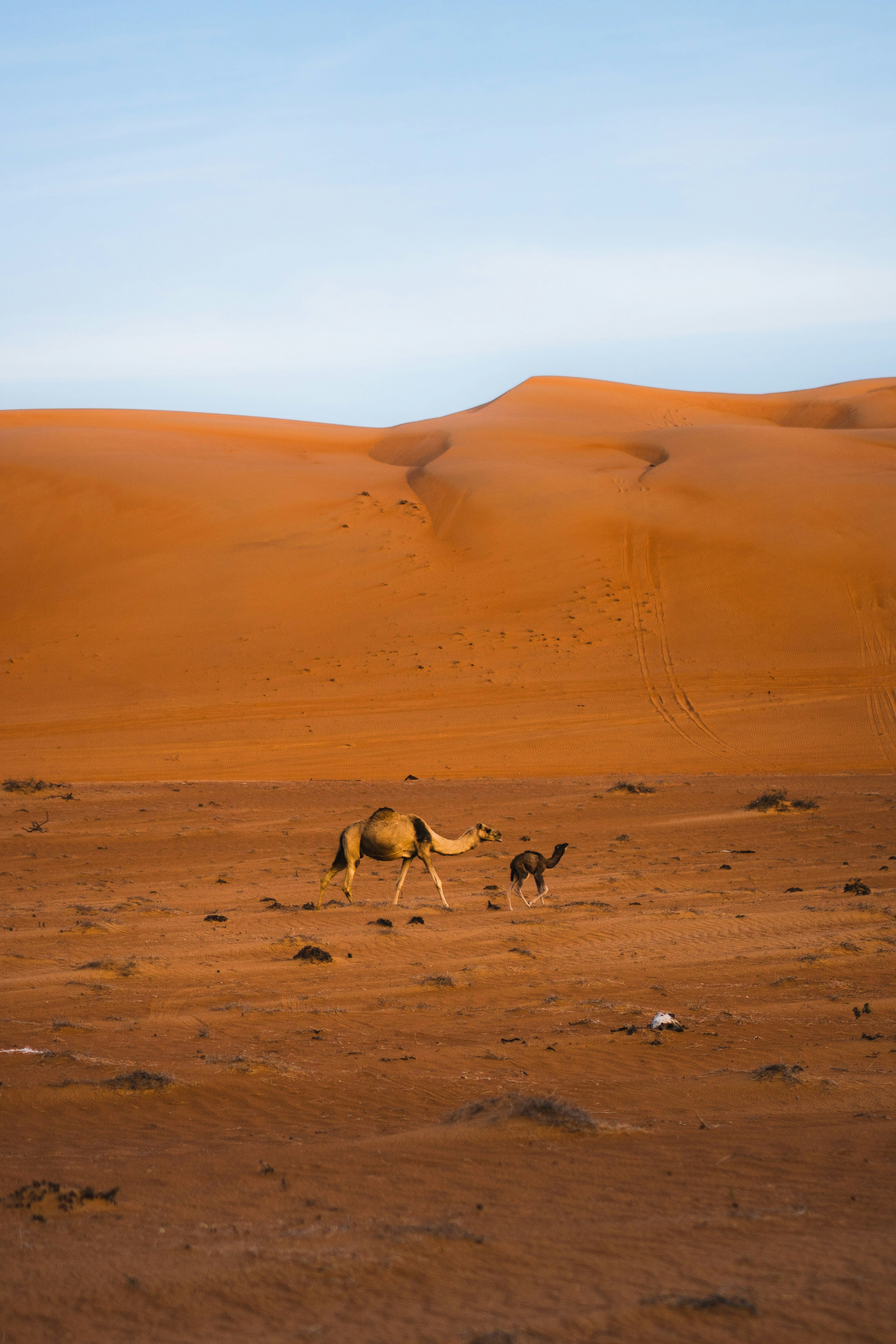 Photo by silasbaisch