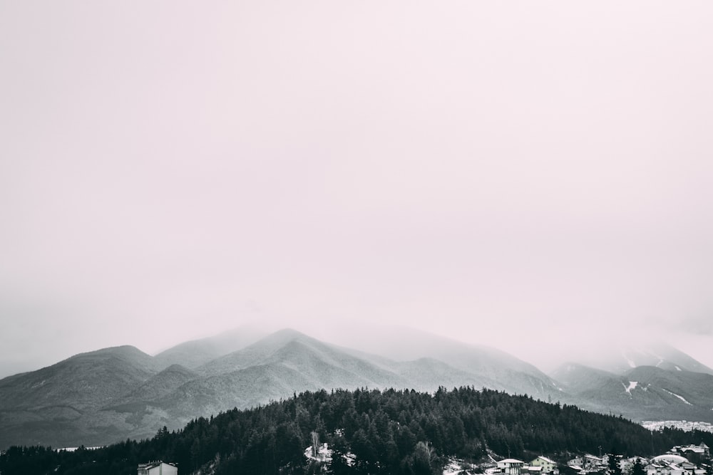 arbres verts sur la montagne sous le ciel blanc pendant la journée