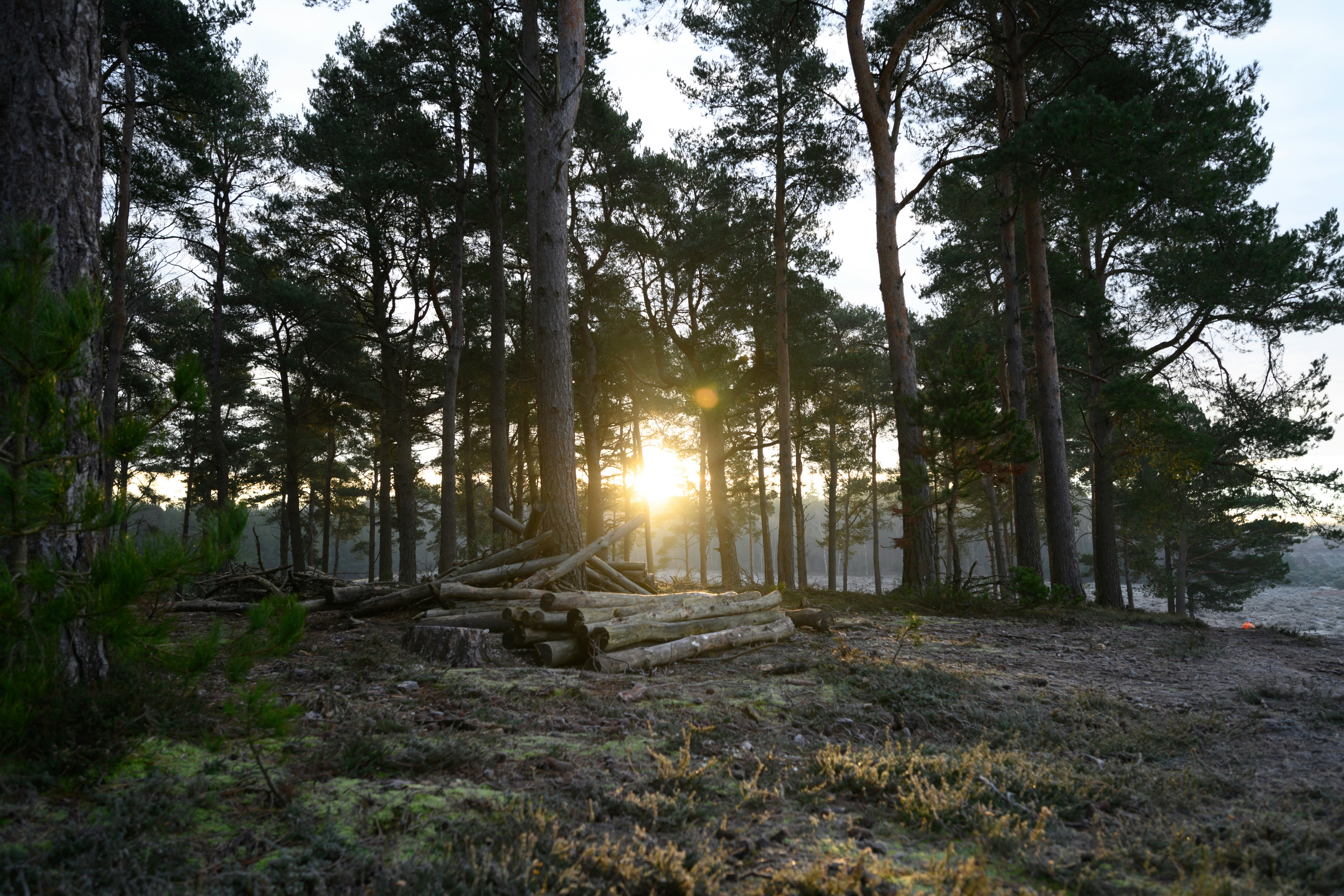 Photo by anniespratt