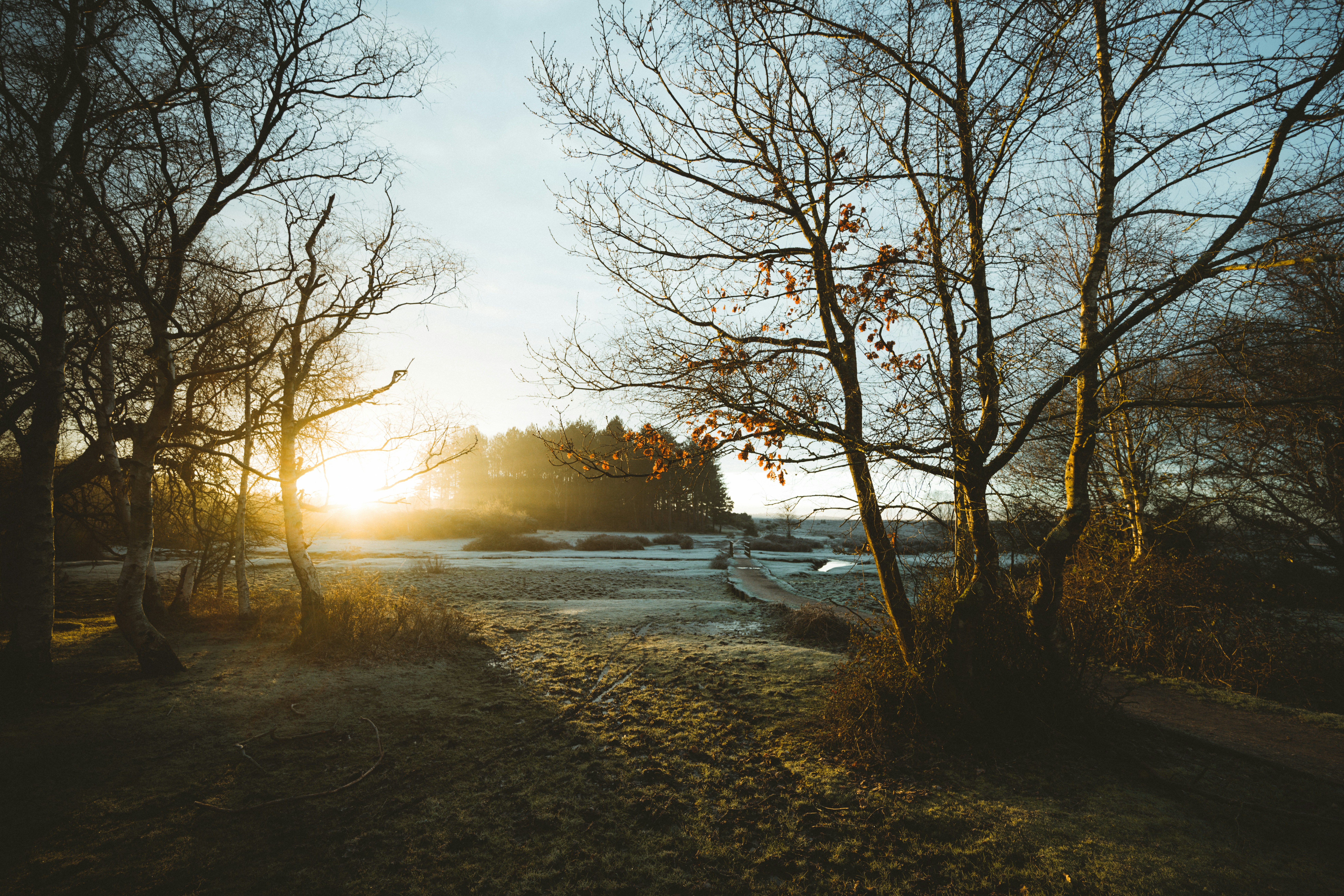 Bob's Repair header image