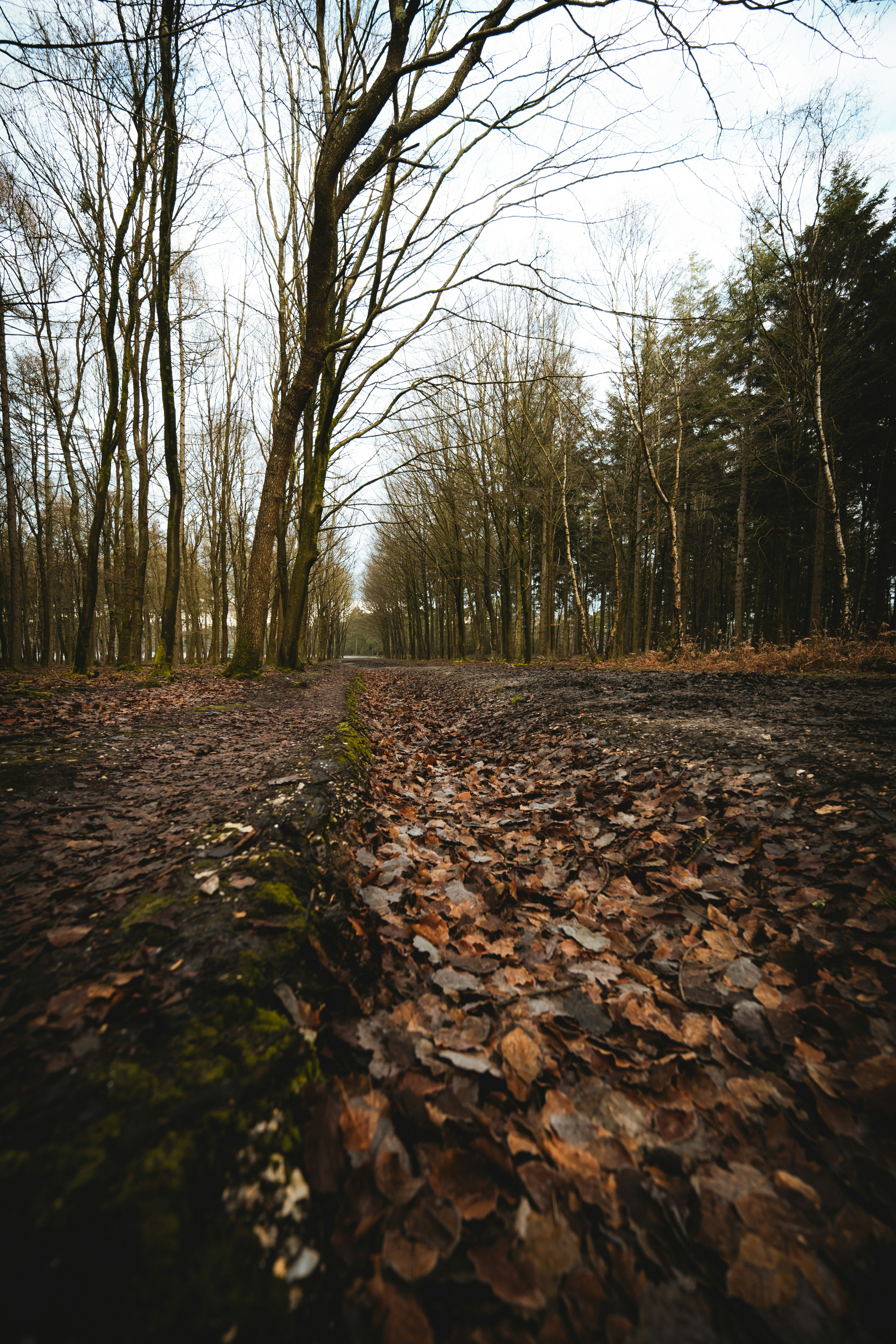 Photo by anniespratt