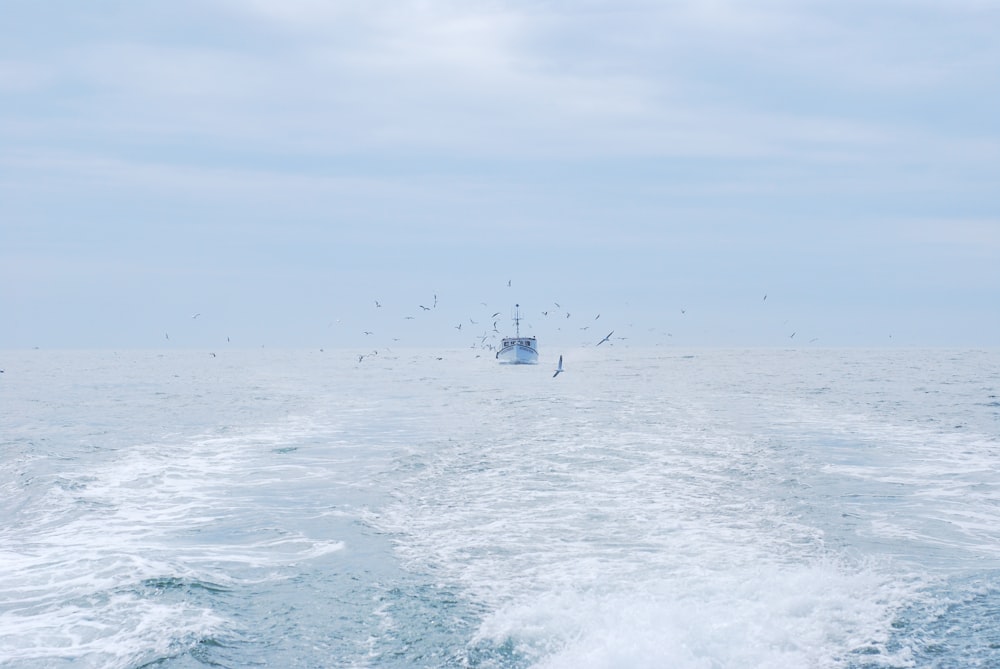 white boat on sea under white sky during daytime