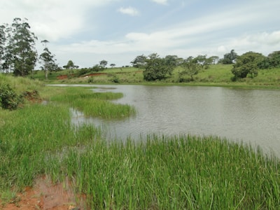 A serene pond reflecting the sky, bordered by soft grass and wildflowers.