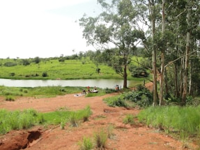 A peaceful rural landscape with community members discussing near a forest edge
