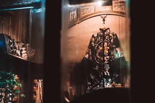 An ornate, embroidered robe with intricate patterns and designs is displayed prominently in a dimly lit setting. The background features woodwork and decorative carvings, adding to the vintage and antique atmosphere. There is a plant visible on the left side of the image, contributing a touch of greenery to the surroundings.