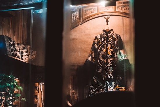 An ornate, embroidered robe with intricate patterns and designs is displayed prominently in a dimly lit setting. The background features woodwork and decorative carvings, adding to the vintage and antique atmosphere. There is a plant visible on the left side of the image, contributing a touch of greenery to the surroundings.