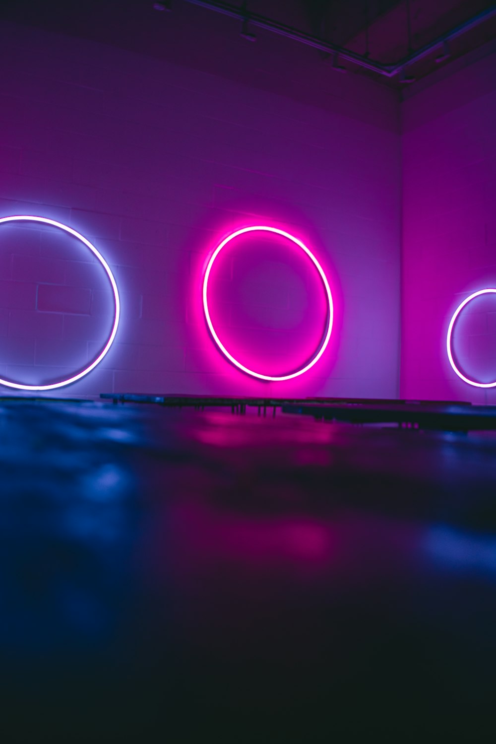 purple and pink light digital wallpaper photo – Free Neon Image on Unsplash