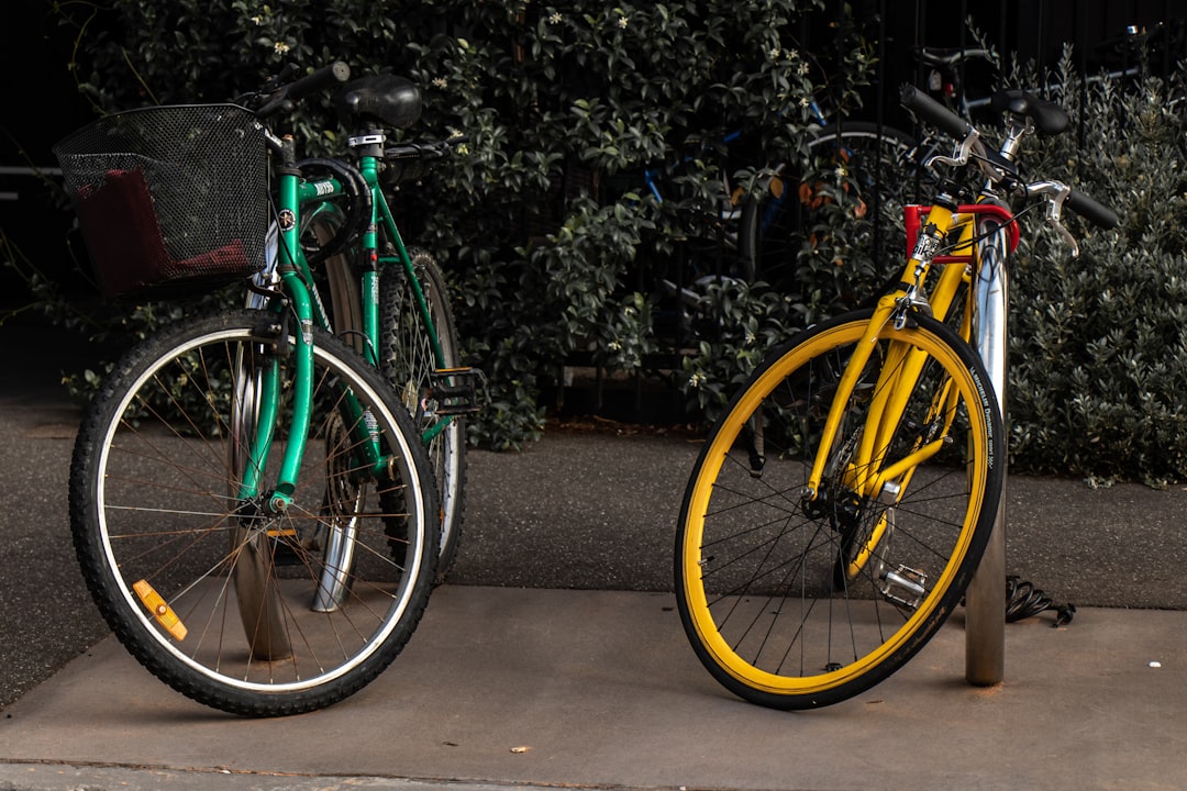 yellow and black bicycle parked beside green plants