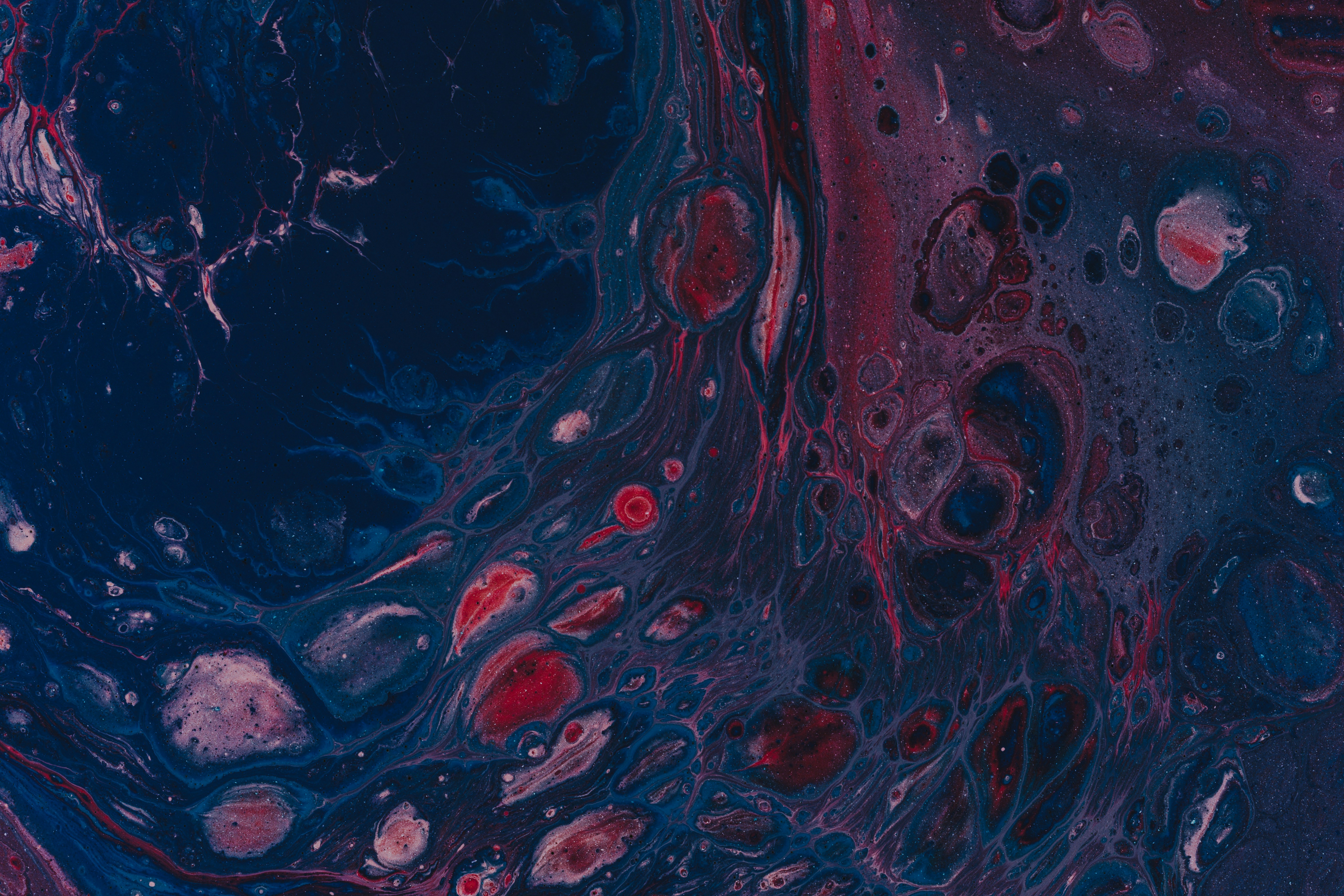 Photo by pawel_czerwinski