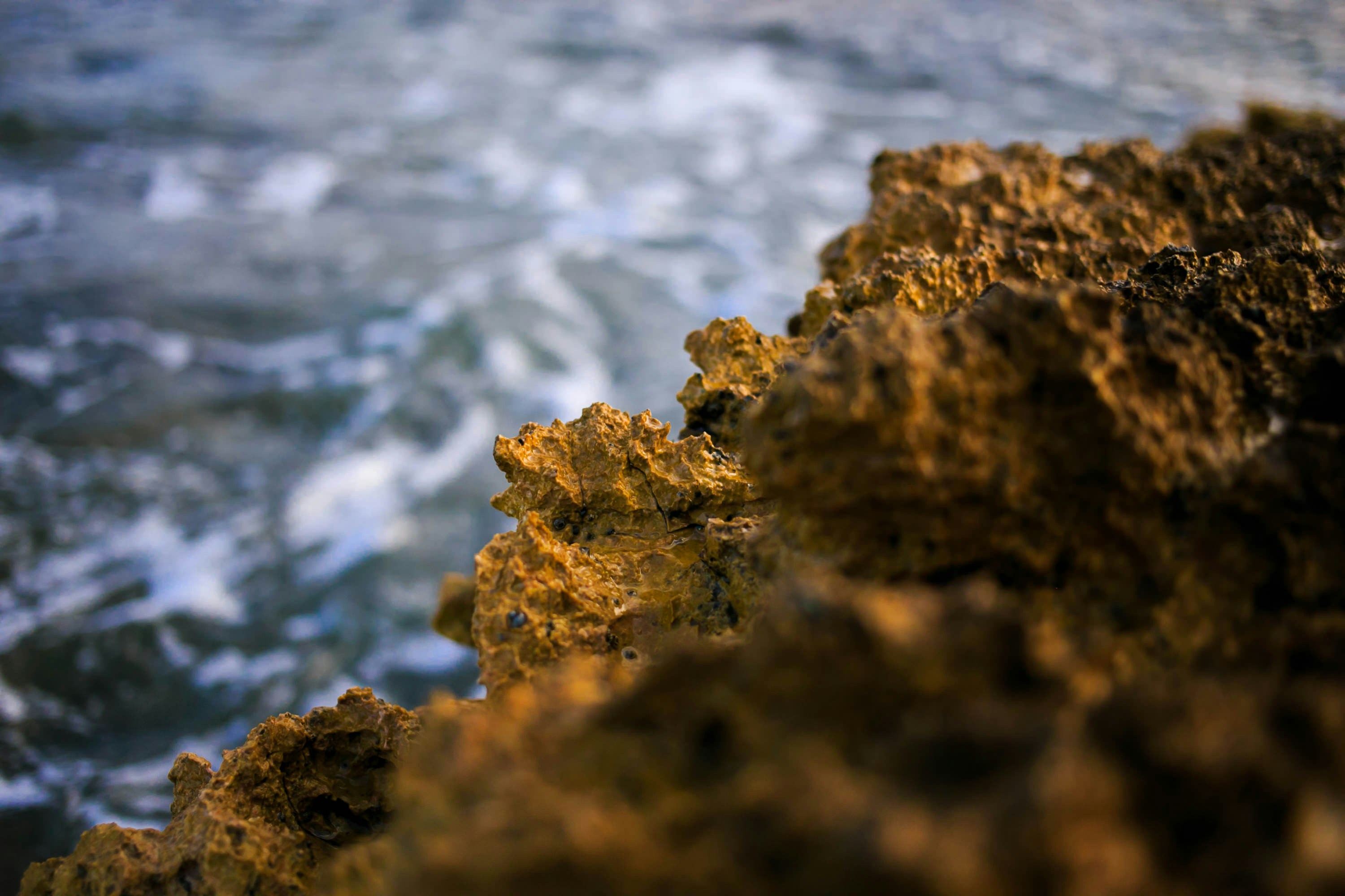 Photo by cayetanogros