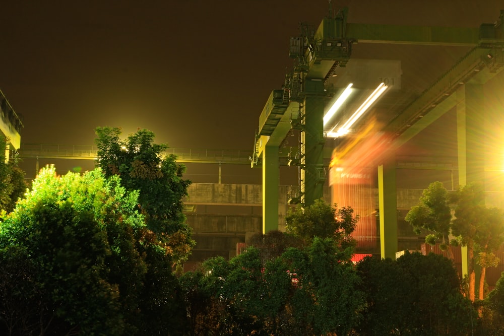 arbres verts près du bâtiment pendant la nuit