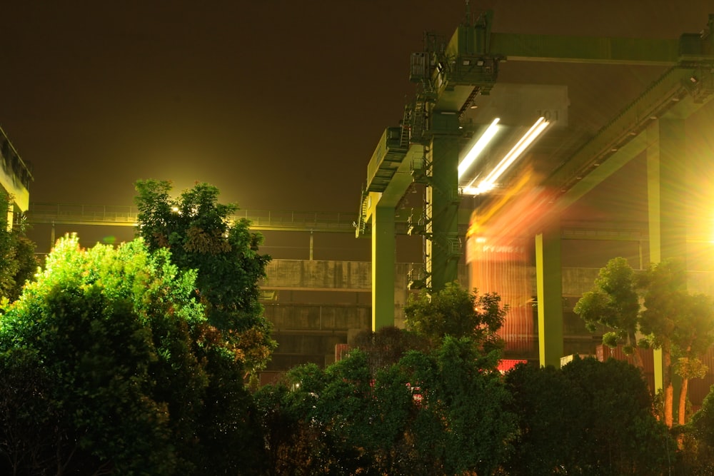 green trees near building during night time