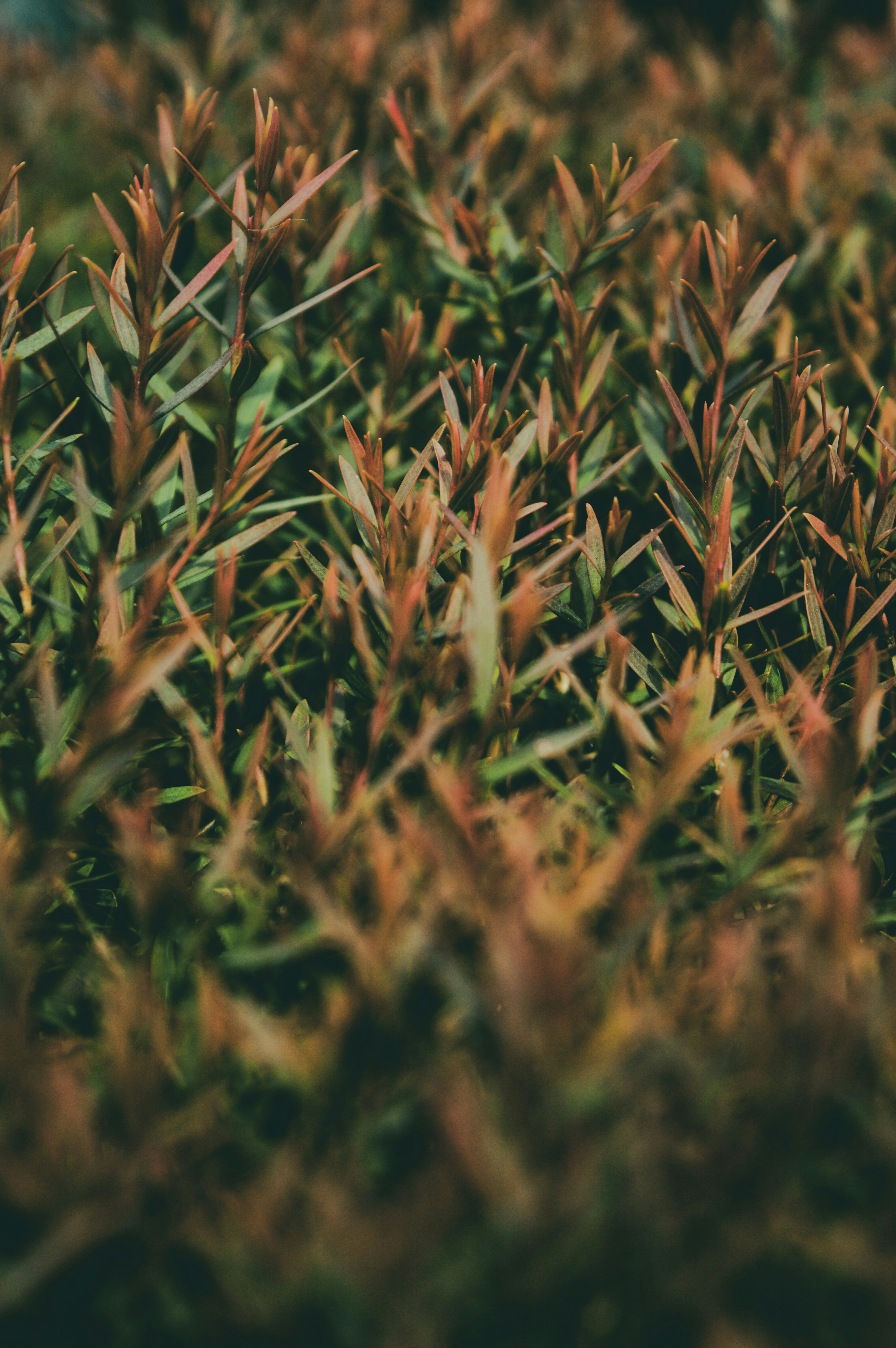 Photo by diamondshot