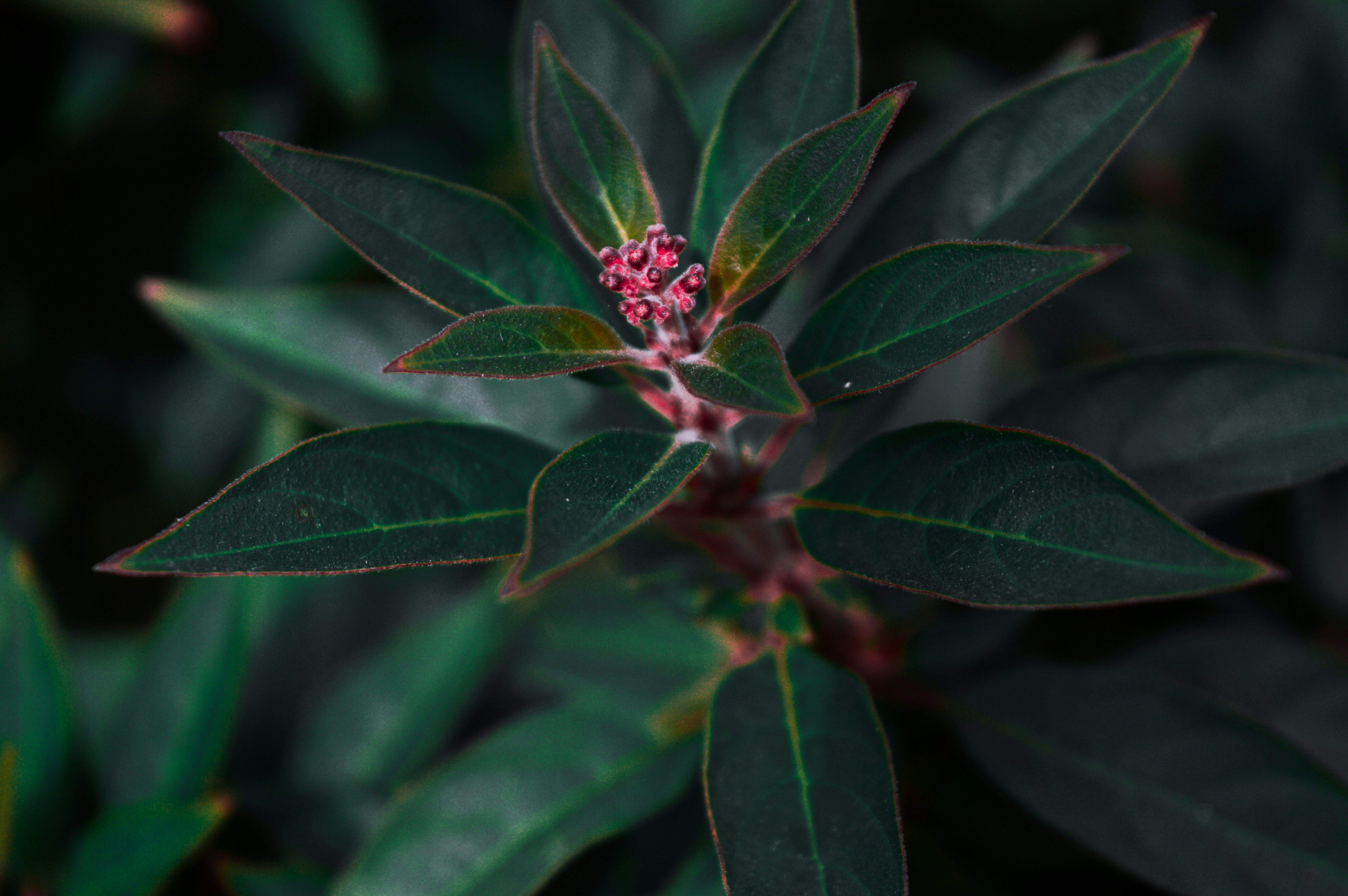 Photo by diamondshot