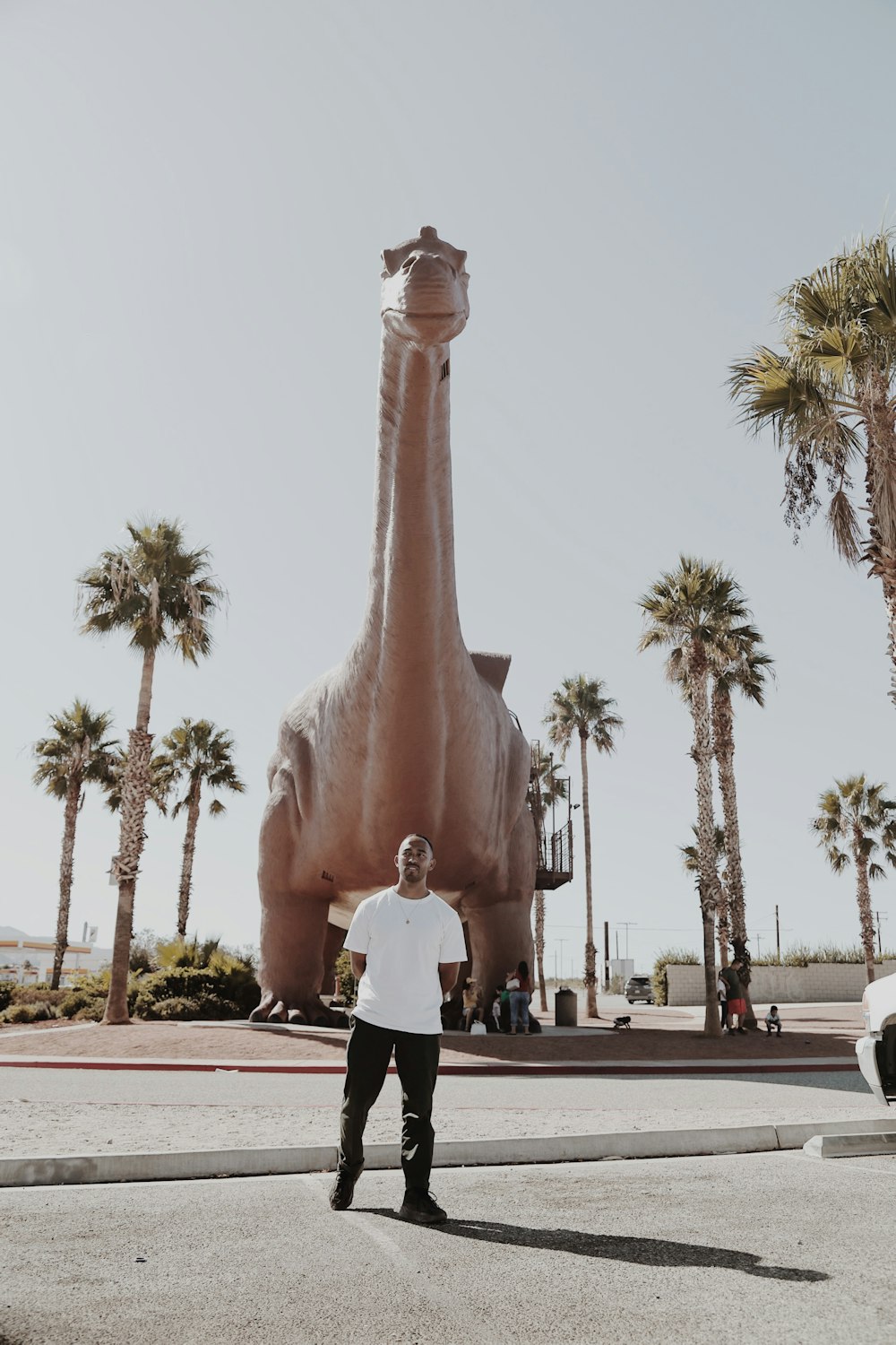 man in white shirt and black pants standing near pink statue during daytime