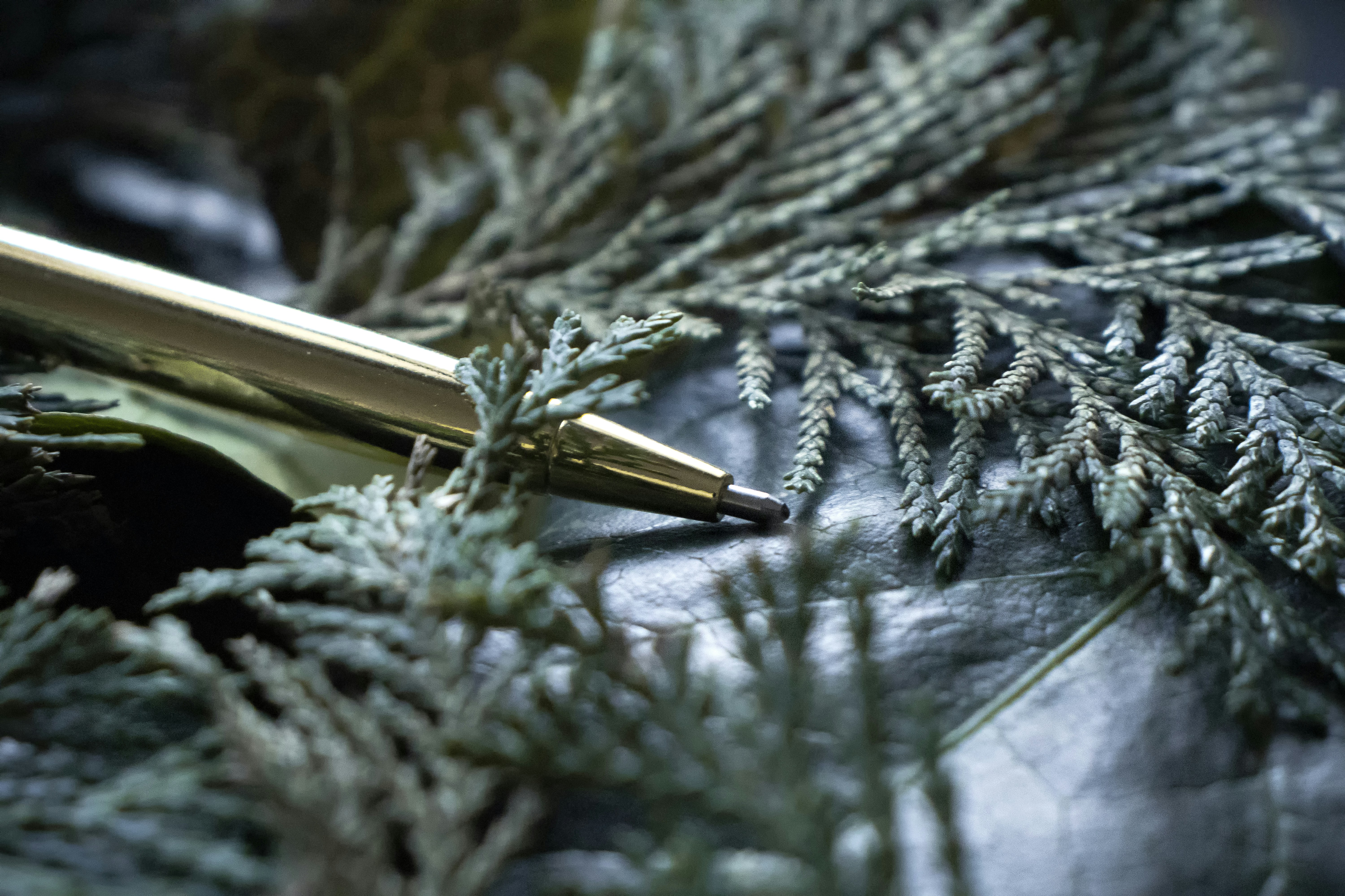 gold pen on green leaves