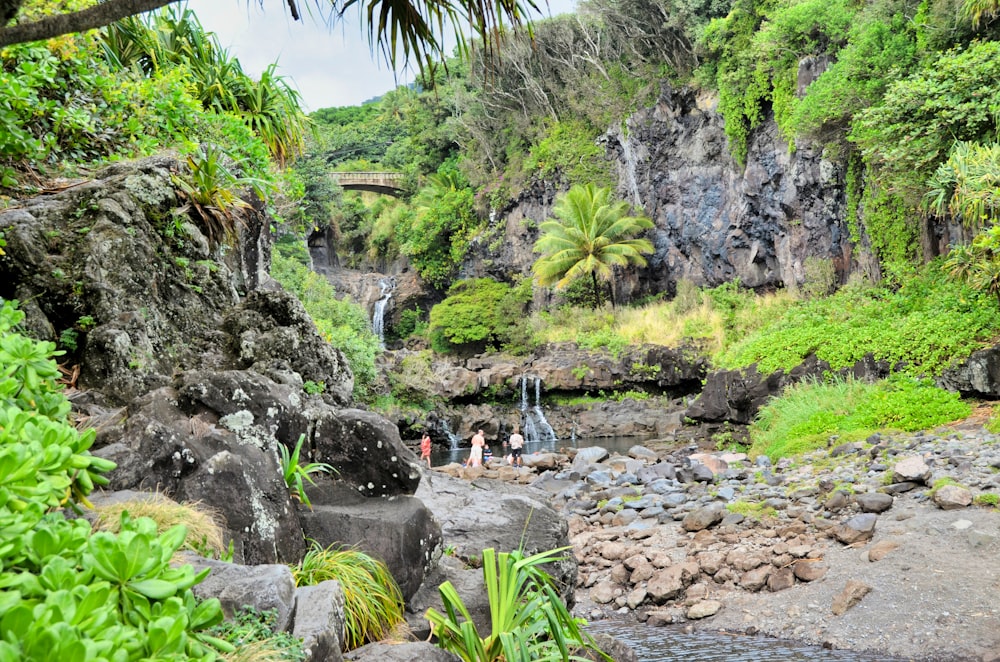 people walking on rocky road during daytime