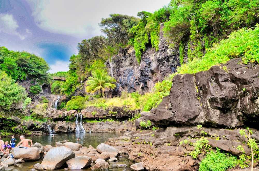 rocky river between green trees under blue sky during daytime