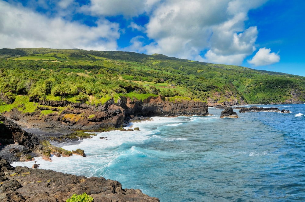 green grass covered mountain beside sea under blue sky and white clouds during daytime